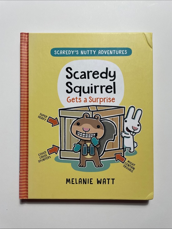 Other - 🍋 4/$20 Scaredy Squirrel Gets a Surprise by Melanie Watt | Hardcover Kids Books